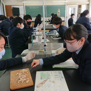 OISCA Academy Senior High School