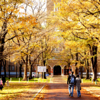 Hokkaido University Jeducation Indonesia